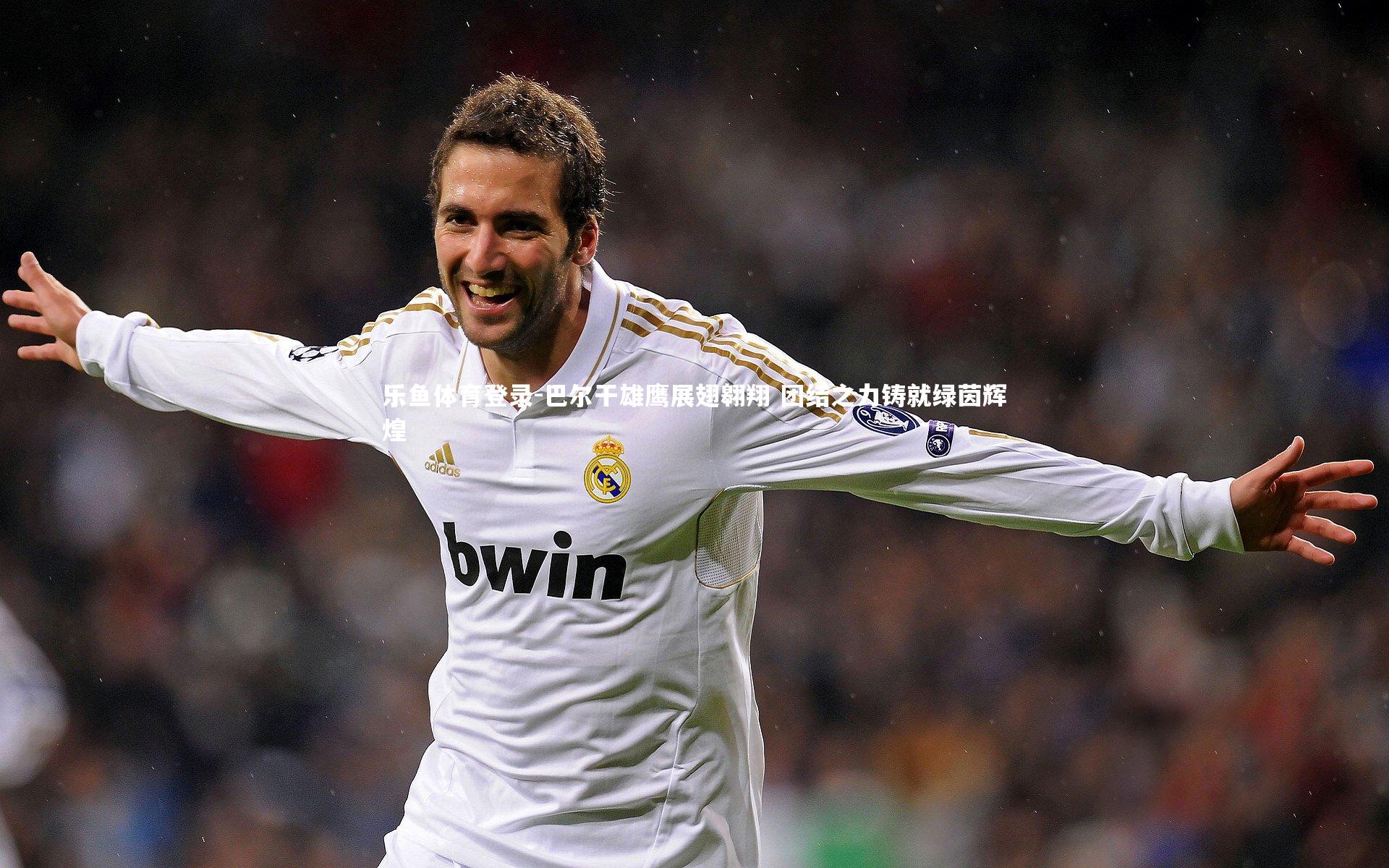 巴尔干雄鹰展翅翱翔 团结之力铸就绿茵辉煌