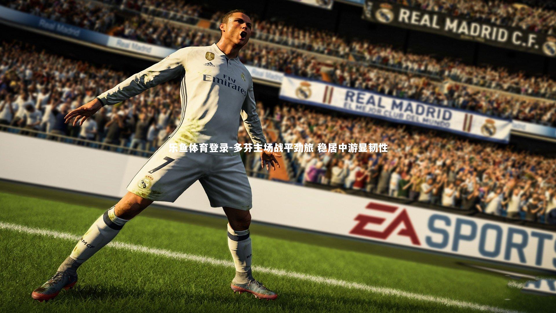 多芬主场战平劲旅 稳居中游显韧性