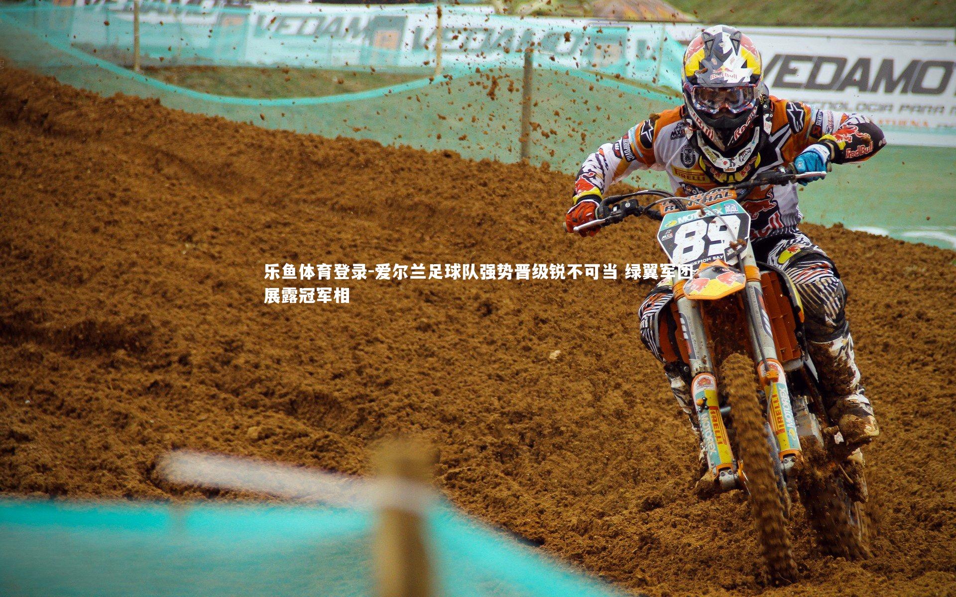 爱尔兰足球队强势晋级锐不可当 绿翼军团展露冠军相