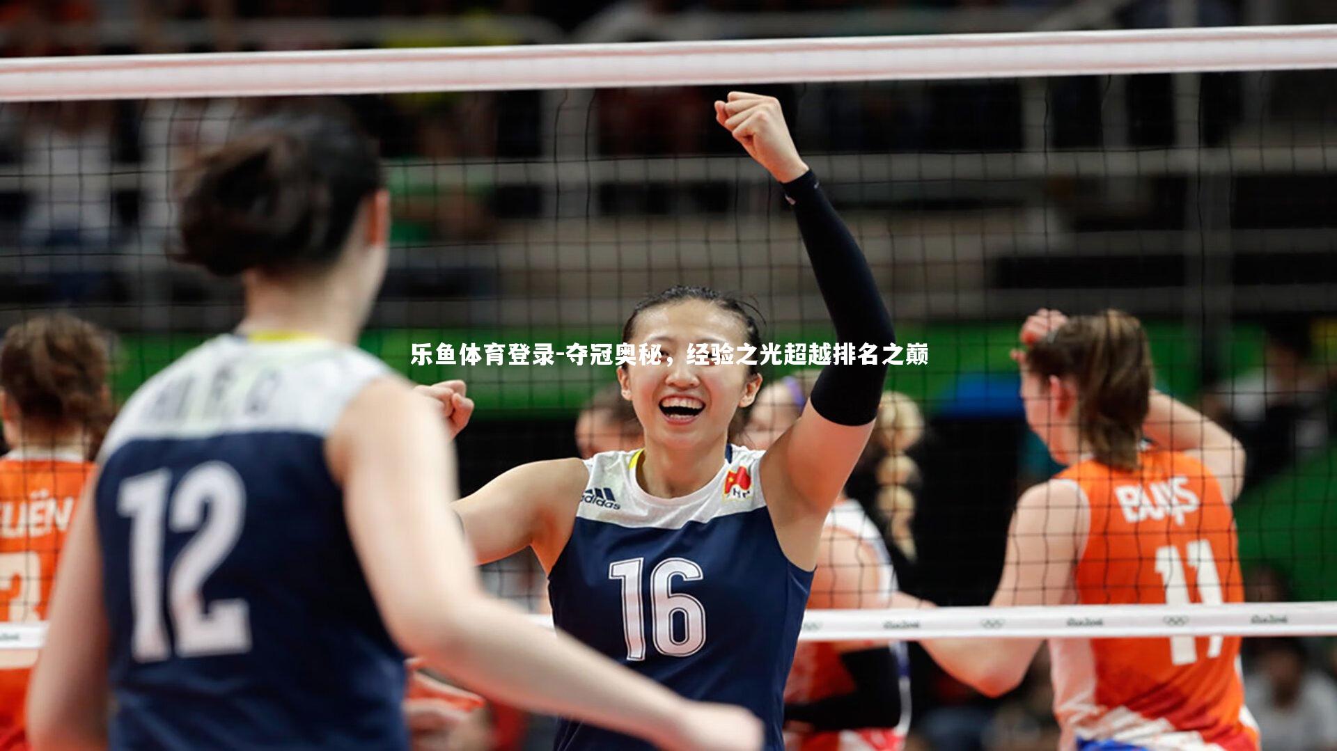 夺冠奥秘,经验之光超越排名之巅